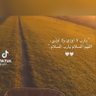 الماسترو 的头像