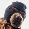 Profilbild von KID