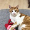 くろネコ★ 的头像