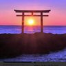 🇯🇵伝統文化を護る🇯🇵たま🇯🇵 profil fotoğrafı