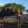 sanpani 的头像