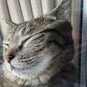 Фото профиля ひでお