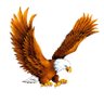 Profilbild von FZ