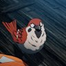 Profilbild von Flip, The Little Birdy