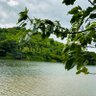 🌳🍃JJ_🐶EF ☀️🐠 的头像