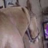 b profil fotoğrafı