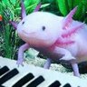 Фото профиля Average_Amphibian🪢🐇