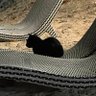 V profil fotoğrafı