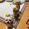野垣内あけ美 profil fotoğrafı