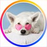 Funniest Animal Moments (✸,✸)'s profile picture