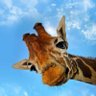 Miguel. Informatico.'s profile picture