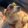 RanJetDo's profile picture