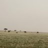 عبدالهادي الخنفري 的头像