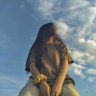Фото профиля Hareem