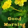 Dr.Niranjan kumar's profile picture