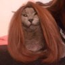 Alicia's profile picture
