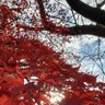 リュキ profil fotoğrafı
