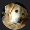 AFriendofGod 🪶🟧💙🇺🇦🐺 profil fotoğrafı