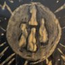 carmelo piccione's profile picture
