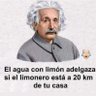 Miki Picar's profile picture