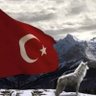 Beşiktaşkk's profile picture