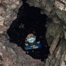 Profilbild von MrSkogtroll