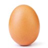 Egg 的头像