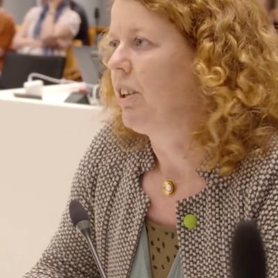 Anne Hofstede🌍🐰☀️🔥🌪🌊's profile picture