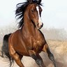 خيال العليا profil fotoğrafı
