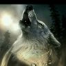 Profilbild von la loba