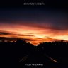 Фото профиля STREAM TOILET DREAMING