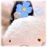はあさチャンなのだっ.ᐟ.ᐟ💎🪶❥❥はぐみん's profile picture