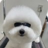 Profilbild von ゴンシル