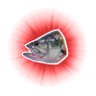 Profilbild von Big Bass