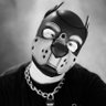 Pup Maple's profile picture