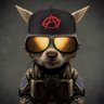 Profilbild von Snapper #Chooky
