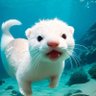 Profilbild von MeowLodi