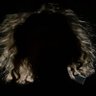 Profilbild von Icecold Crypt