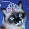 Profilbild von супіцекризний апофеоз