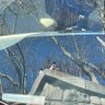 salta 的头像