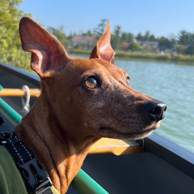 CPA_ykmtsmt's profile picture
