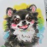 ふとっちょぴかまる🌟's profile picture