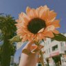 Ellu's profile picture