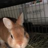 ぽえタコ profil fotoğrafı