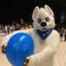 Boltee 的头像