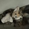 むたたん 的头像