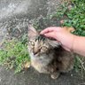 じゃじゃちゃん 🐹's profile picture
