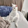 isiyin biy's profile picture