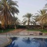 محمد المويزري🇰🇼's profile picture