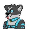 Leo_theTiger's profile picture